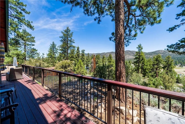42728 Timberline Trl, Big Bear Lake, CA 92315 - photo 37