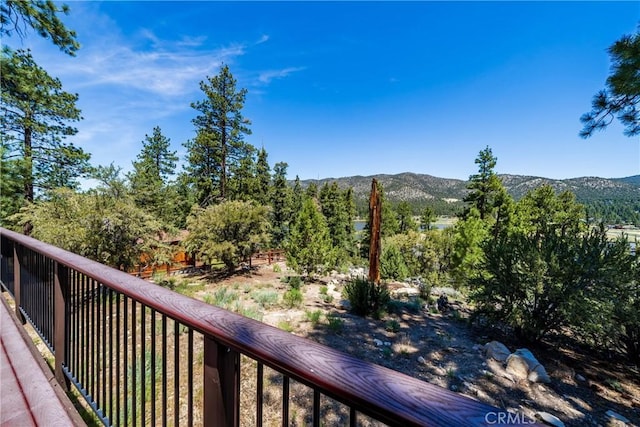 42728 Timberline Trl, Big Bear Lake, CA 92315 - photo 36