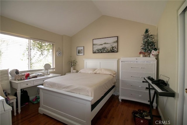 13421 Hubbard St Unit 119, Sylmar, CA 91342 - bedroom with lofted ceiling and dark wood-style flooring