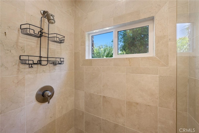 210 N Stage Coach Ln, Fallbrook, CA 92028 - bathroom with tiled shower and plenty of natural light