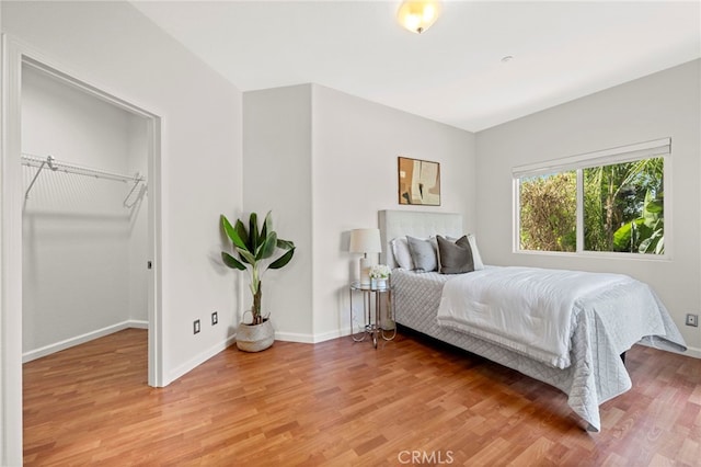 210 N Stage Coach Ln, Fallbrook, CA 92028 - bedroom with light wood-type flooring and a spacious closet