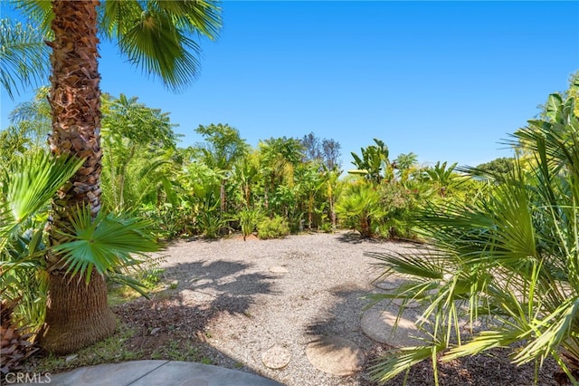 210 N Stage Coach Ln, Fallbrook, CA 92028 - view of yard