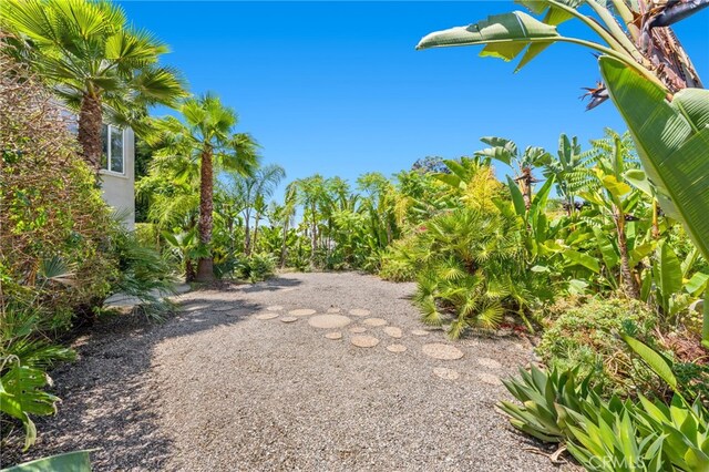 210 N Stage Coach Ln, Fallbrook, CA 92028 - view of yard