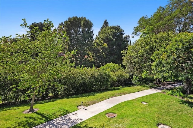 905 Ronda Sevilla Unit 0, Laguna Woods, CA 92637 - surrounding community with a yard