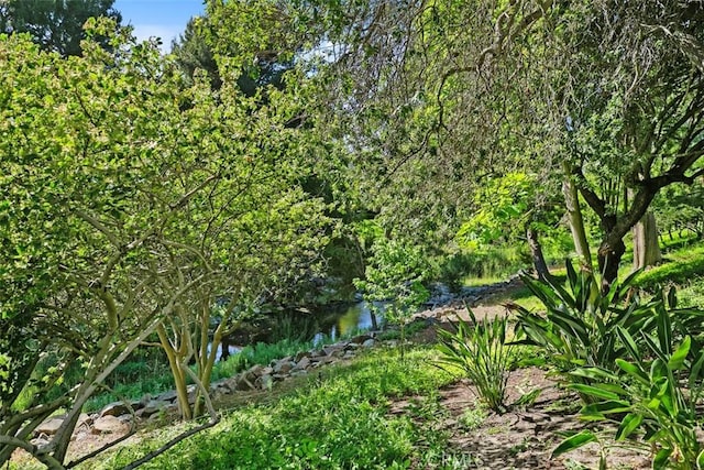 905 Ronda Sevilla Unit 0, Laguna Woods, CA 92637 - view of nature