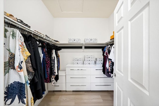 2814 Rambling Vista Rd, Chula Vista, CA 91915 - spacious closet with attic access