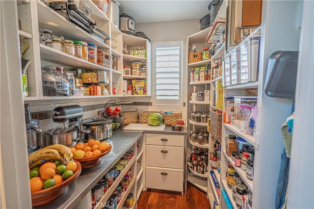 22348 Driftwood Ct, Saugus, CA 91350 - view of storage area