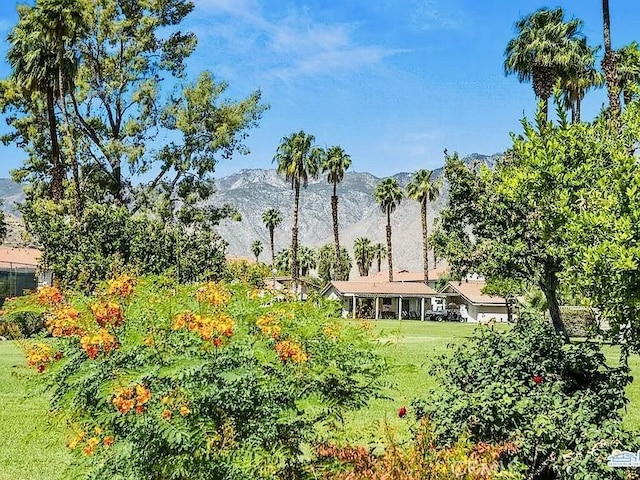 6105 Montecito Dr Unit 5, Palm Springs, CA 92264 - view of grassy yard featuring a mountain view