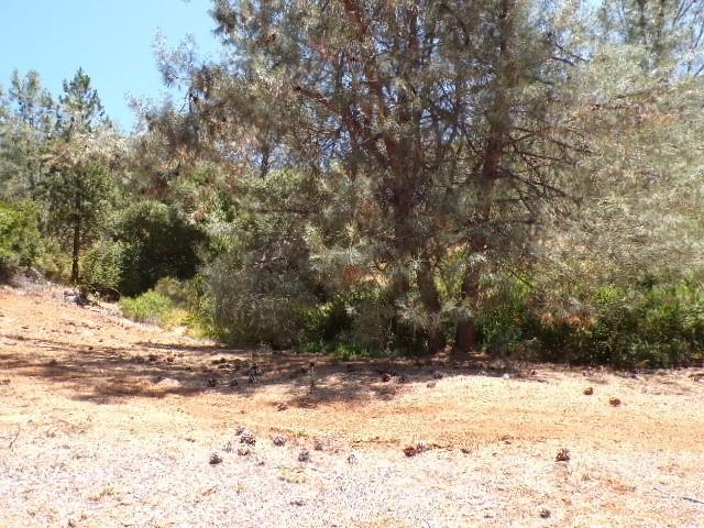 3440 Westridge Dr, Kelseyville, CA 95451 - photo 1