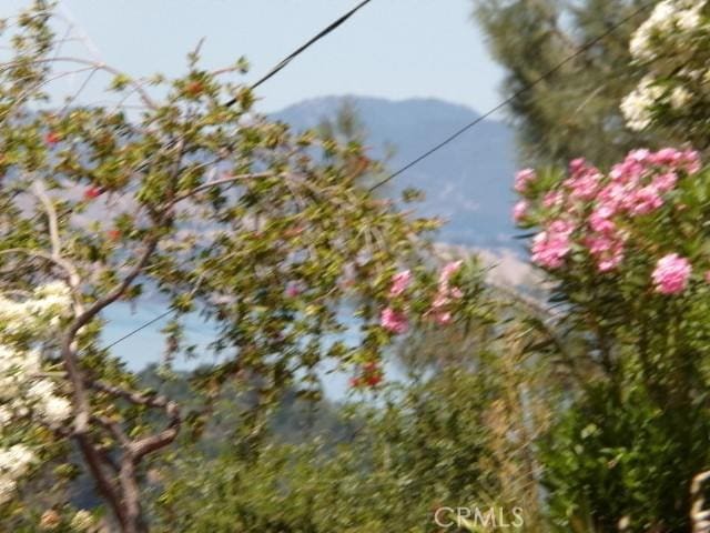 3440 Westridge Dr, Kelseyville, CA 95451 - photo 2