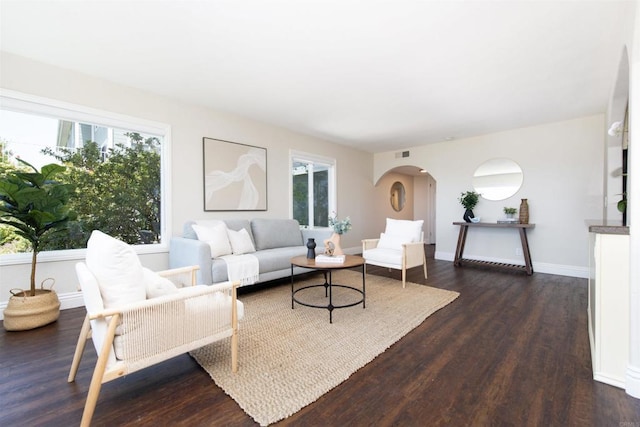 2535 Jefferson St Unit 10, Carlsbad, CA 92008 - living area featuring plenty of natural light, dark wood-type flooring, and arched walkways