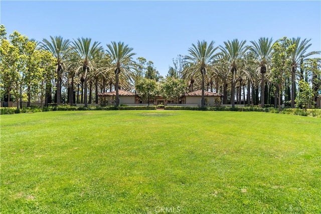 320 Bronze, Irvine, CA 92618 - view of green lawn