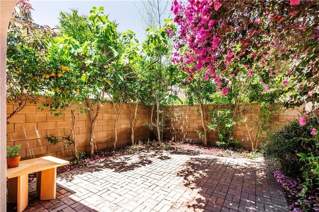 320 Bronze, Irvine, CA 92618 - fenced backyard featuring a patio