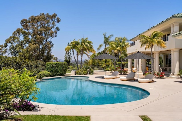 7888 Muirfield Way, Rancho Santa Fe, CA 92067 - swimming pool featuring a patio area