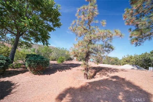6020 Valley Sage Rd, Acton, CA 93510 - view of yard