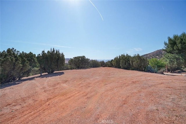 6020 Valley Sage Rd, Acton, CA 93510 - view of yard