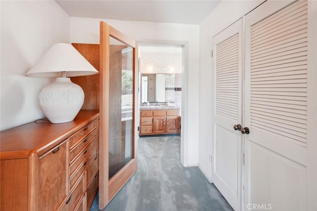 6020 Valley Sage Rd, Acton, CA 93510 - hall featuring carpet floors and a sink