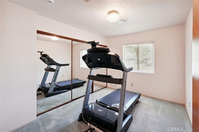 6020 Valley Sage Rd, Acton, CA 93510 - exercise area featuring carpet