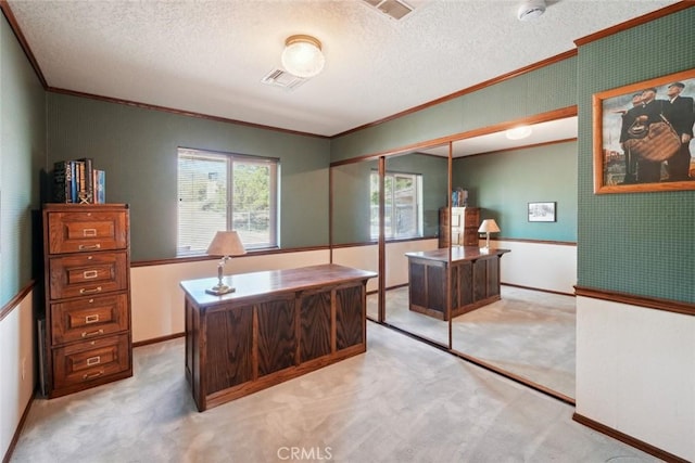 6020 Valley Sage Rd, Acton, CA 93510 - carpeted office space with ornamental molding and a textured ceiling