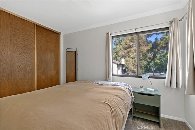 779 Via Sierra Nevada, Riverside, CA 92507 - bedroom with ornamental molding and carpet flooring