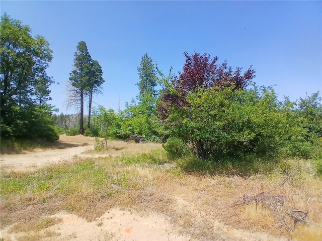 13392 Hog Ranch Rd, Oroville, CA 95965 - photo 5