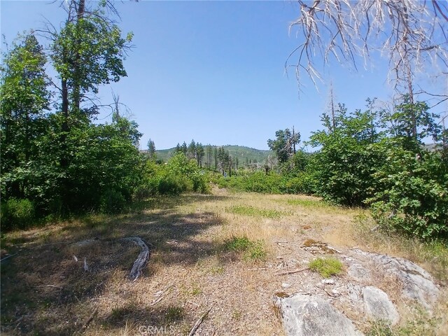 13392 Hog Ranch Rd, Oroville, CA 95965 - photo 4