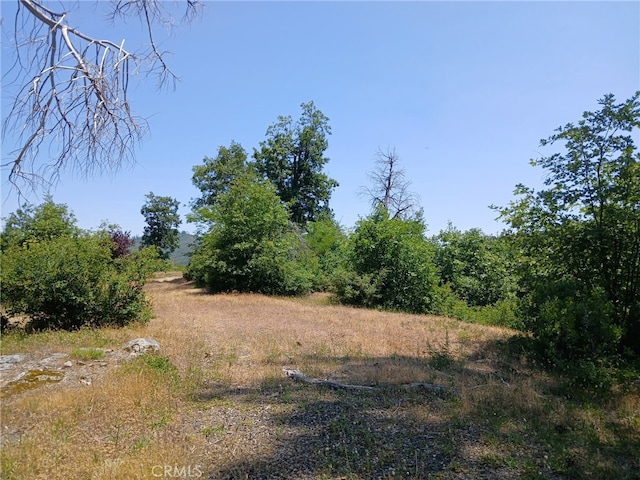 13392 Hog Ranch Rd, Oroville, CA 95965 - photo 3