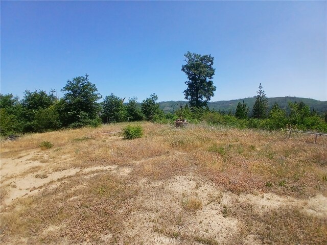 13392 Hog Ranch Rd, Oroville, CA 95965 - photo 10
