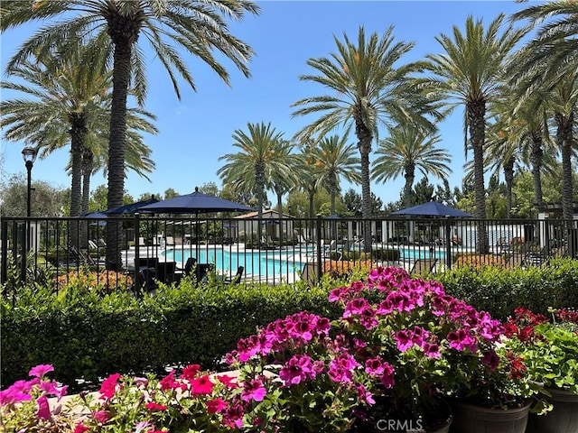 227 Carlow, Irvine, CA 92618 - view of community pool