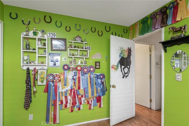 17306 Grand Ave, Lake Elsinore, CA 92530 - photo 11