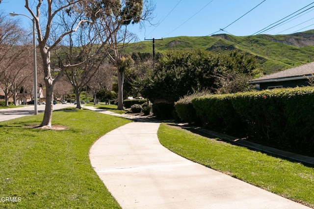 2328 Eskimo Ln, Ventura, CA 93001 - photo 25
