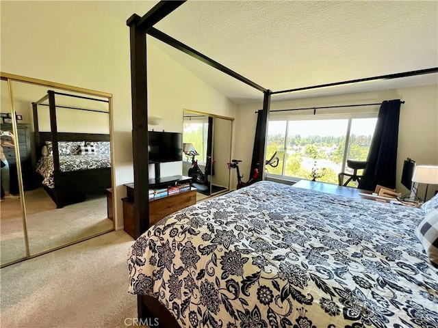 27347 Sahara Pl, Laguna Niguel, CA 92677 - carpeted bedroom with lofted ceiling, two closets, and a textured ceiling