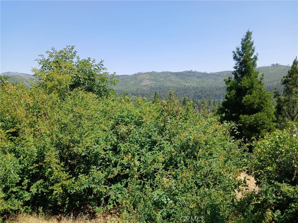 0 Astoria, Concow, CA 95965
