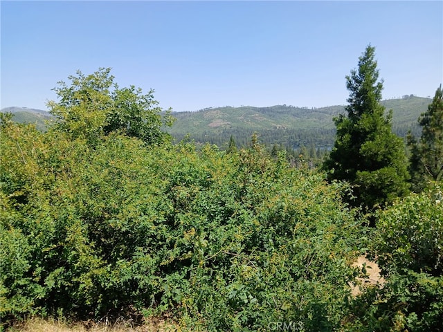 0 Astoria, Concow, CA 95965