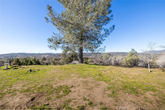 33030 Rd 233, North Fork, CA 93643 - view of grassy yard