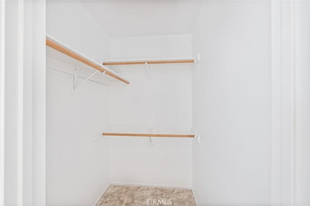 33030 Rd 233, North Fork, CA 93643 - view of spacious closet