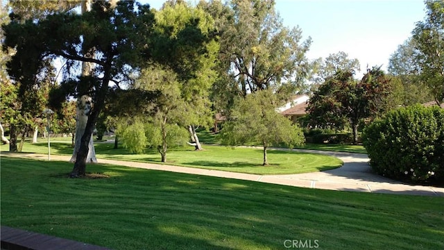 17305 Rosewood, Irvine, CA 92612 - view of property's community featuring a lawn