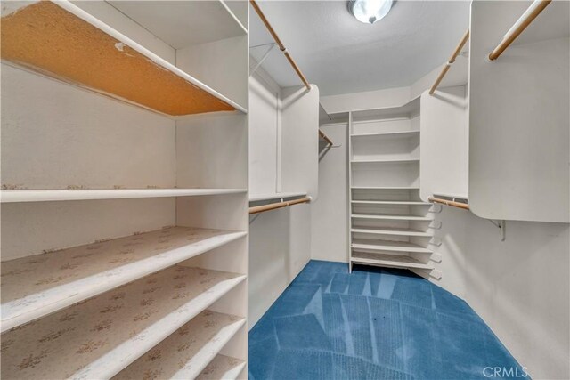 2528 Key Ct, Lancaster, CA 93536 - walk in closet featuring carpet floors