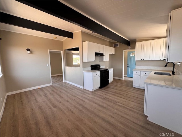 541 Frances Dr, Barstow, CA 92311 - kitchen with black / electric stove, white cabinetry, wood finished floors, and under cabinet range hood