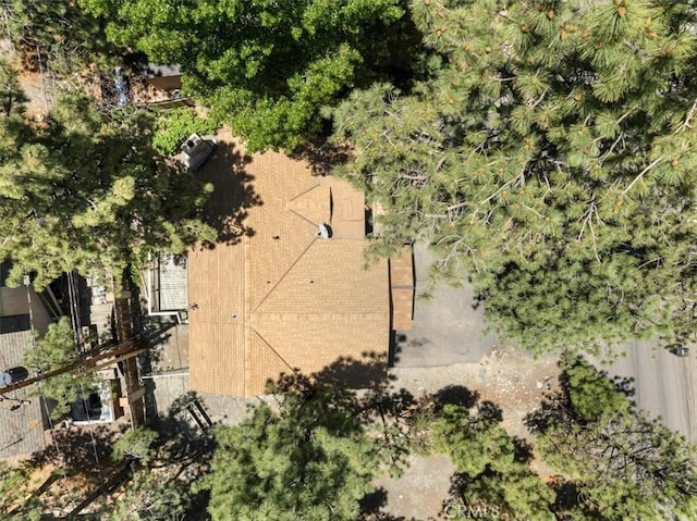 1869 Thrush Rd, Wrightwood, CA 92397 - aerial view of property's location