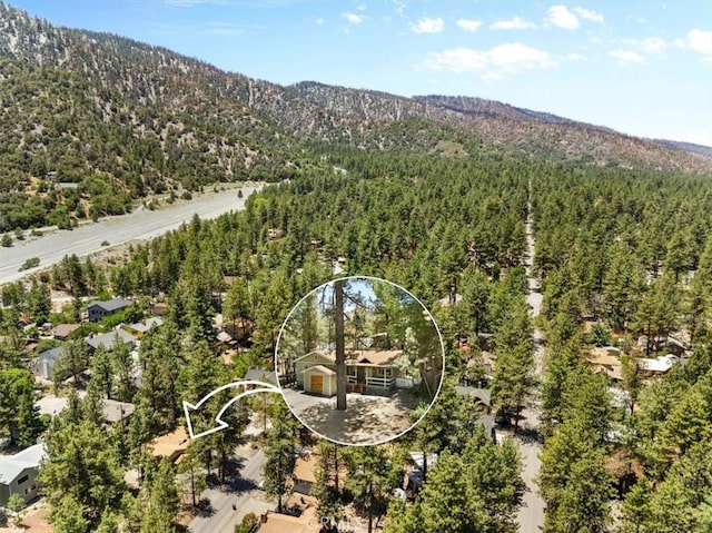 1869 Thrush Rd, Wrightwood, CA 92397 - drone / aerial view of a heavily wooded area and a mountainous background