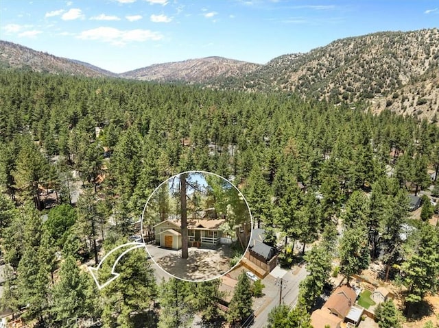 1869 Thrush Rd, Wrightwood, CA 92397 - view of subject property with a forest and a mountain backdrop