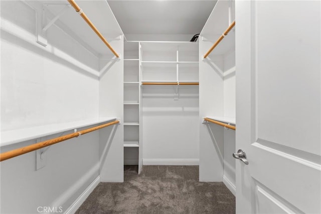 9121 6th Ave, Hesperia, CA 92345 - spacious closet featuring carpet flooring