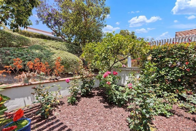 4150 Pindar Way, Oceanside, CA 92056 - photo 31
