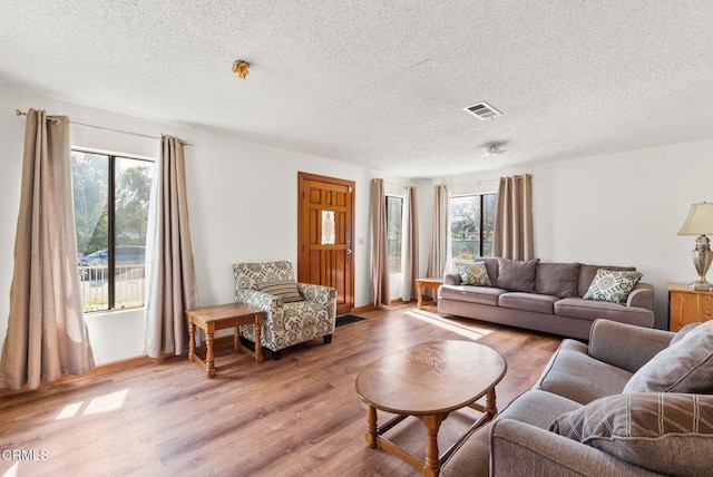 236 S 11th St, Santa Paula, CA 93060 - living room with light wood-style floors and a textured ceiling