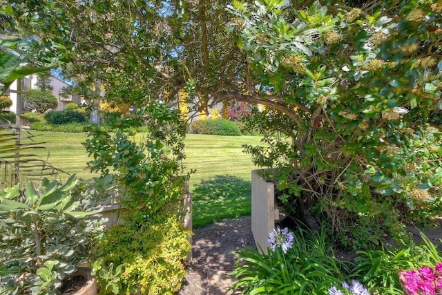 6548 Camino Del Parque, Carlsbad, CA 92011 - view of grassy yard