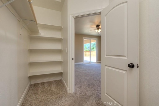 1910 Crandall Way, Paradise, CA 95969 - walk in closet with carpet floors and ceiling fan