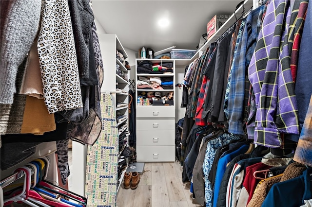 28536 Paseo Diana, San Juan Capistrano, CA 92675 - spacious closet featuring wood-type flooring