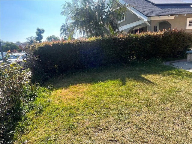 1248 Rolland Curtis Pl, Los Angeles, CA 90037 - view of green lawn