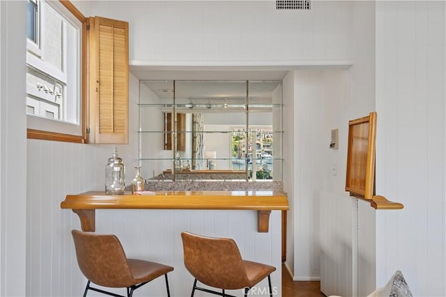 612 Harbor Island Dr, Newport Beach, CA 92660 - indoor wet bar featuring wooden walls